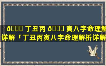 💐 丁丑丙 🐈 寅八字命理解析详解「丁丑丙寅八字命理解析详解大全」